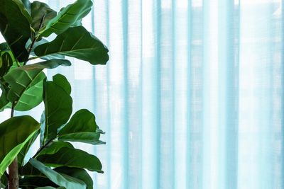 Verhojärjestelmät, SG 5600, Colorama 1, Virgin Money, Glasgow, Scotland, United Kingdom